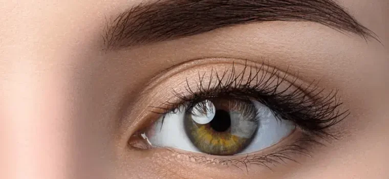 dermonic Eyelashes and Eyebrows dermonic Eyelashes and Eyebrows